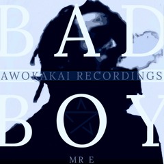 MR E - Bad Boy  FREE TO DOWNLOAD