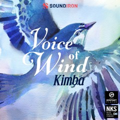 Mike Espinell - City Nights - Soundiron Voice Of Wind Kimba