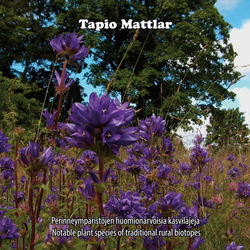 Stream Vanamo (Linnaea borealis) by Tapio Mattlar | Listen online for free  on SoundCloud