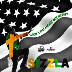 Can You Hear Me Now