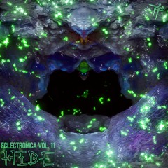 Eclectronica Vol. 11 - Hide