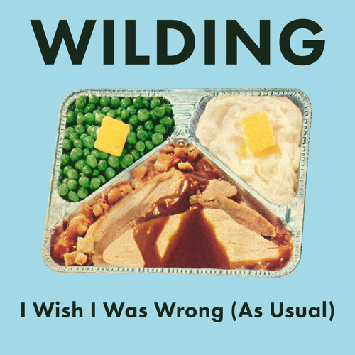 I Wish I Was Wrong (As Usual)