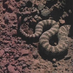 glue (attached) w/ music video in desc