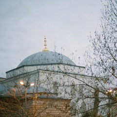 الشيخ محمد خيرى