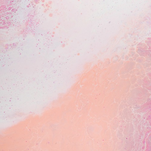 Bloom