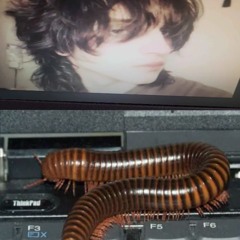 please don't give me "that" look