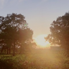 Countryside (prod.HAL-D)