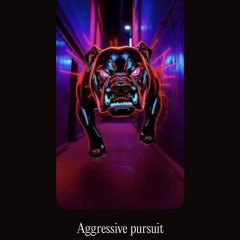 Aggressive Pursuit(2)