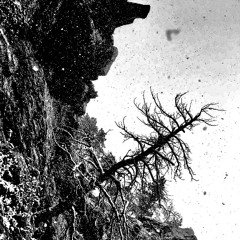 LyfeCycle Vol. 2 (Downtempo)