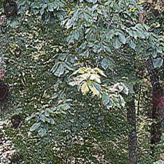 my time! [prod. Whm1e Beats]