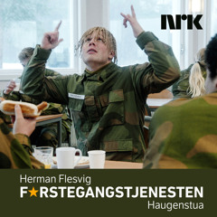 Haugenstua