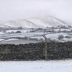 We Scratch Our Names On The Wall