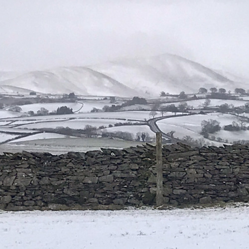 We Scratch Our Names On The Wall