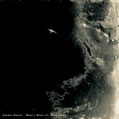 What I Want (ft Mary Sweet)