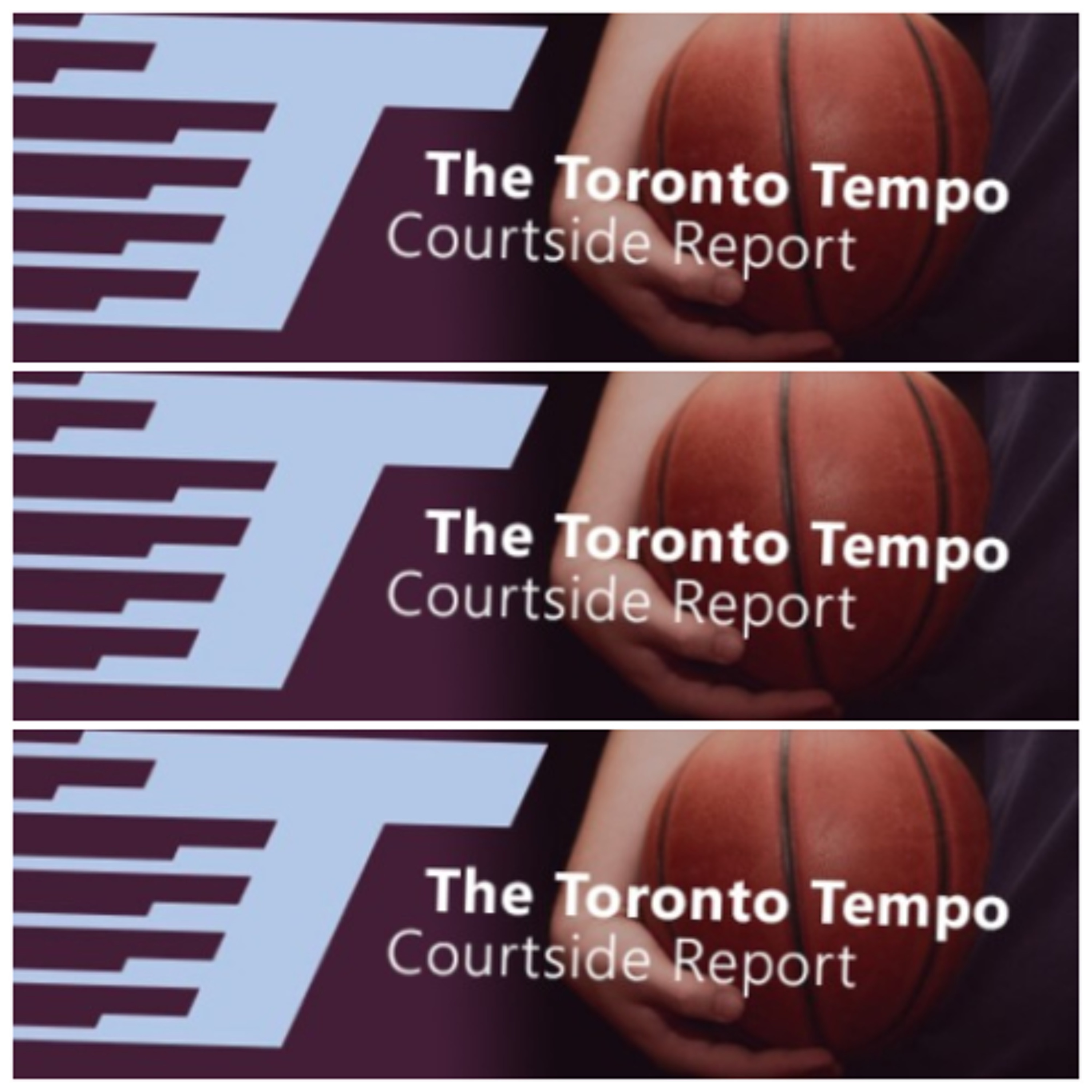 Wednesday, April 15:   The Toronto Tempo Courtside Report