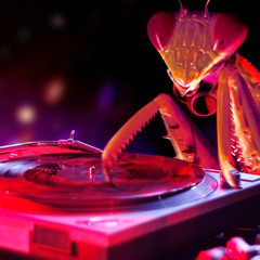 Guesses & Dreams [Charli XCX x Magou]