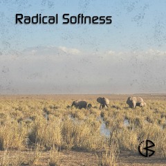 Upperberry | Radical Softness