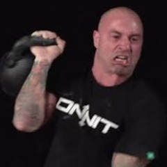 Joe Rogan Mode