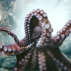 Tamara [D&Tonic] - Tentacle