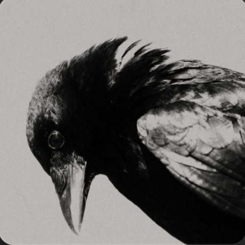 Carpathia - Initiation