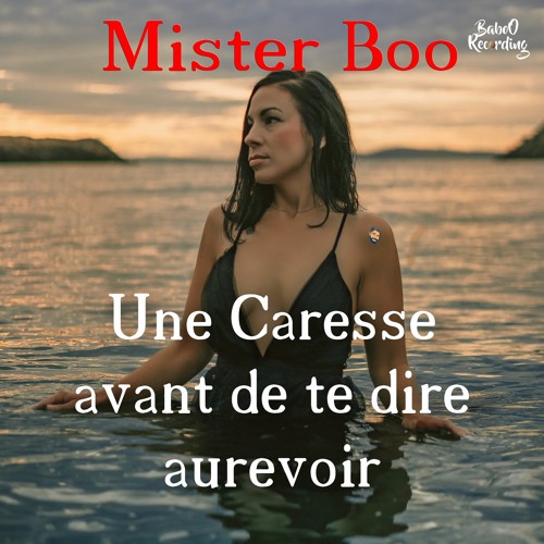 Une Caresse Avant De Te Dire Aurevoir [LOFI BEAT 2025]