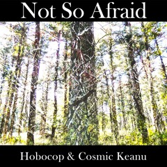 NotSoAfraid(Hobocop & Cosmic Keanu)