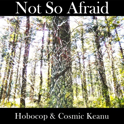 NotSoAfraid(Hobocop & Cosmic Keanu)VIDEO AVAILABLE🎥
