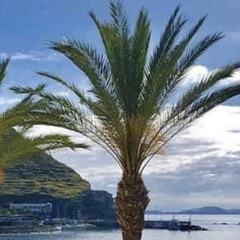 NoteG07b News For Me 2025