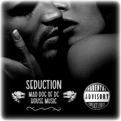 Seduction - House Music Mix!