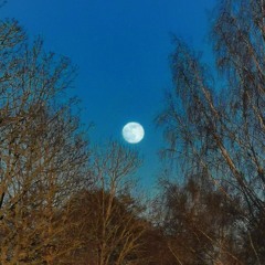 Moonlight (feat. Uptrent, Darcy Stokes)