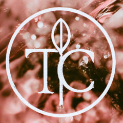 toxic till the end -ROSE' (Tsu-Chi remix)