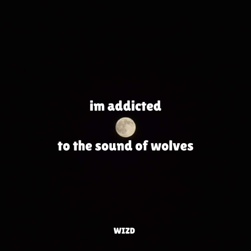 im addicted to the sound of wolves