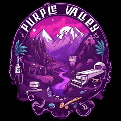 Purple Valley - Funk In The System Mixtape