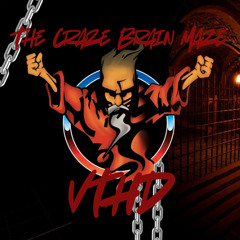 The Craze Brain Maze