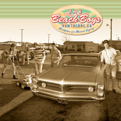 Cotton Fields (The Cotton Song) (Remastered)