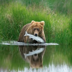 1er arrêt – Bienvenue