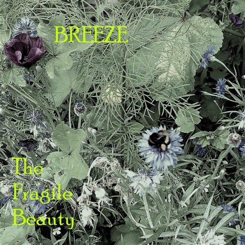 THE SIREN`S SONG  from "THE FRAGILE BEAUTY"