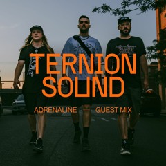 Adrenaline | Terrnion Sound