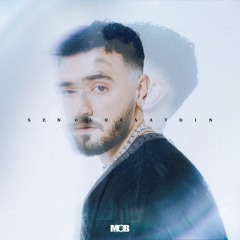 Erbil - Sen Olmasaydın