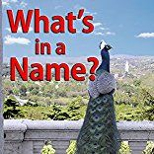 What's in a Name? Brian the Birthright by Sally Cronin