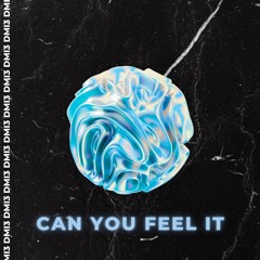 DMI3 - Can You Feel It
