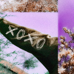 xoxo