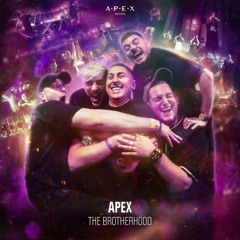 NOW OR NEVER | NEW HARDSTYLE, HARDCORE & MORE