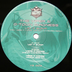 G-Town Madness vs. The Viper - Here It Comes (D-Block & S-te-Fan Remix)