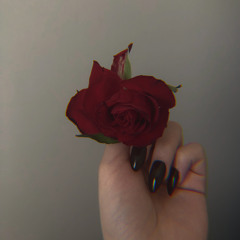 murder song, aurora // cover