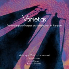 Extrait VARIETAS - Vivaldi concerto pour mandoline et cordes en do M.