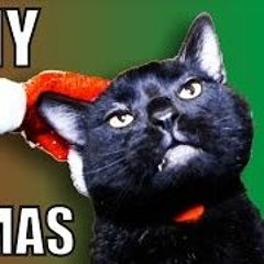 I Don't Give A Damn About Christmas - Talking Kitty Cat