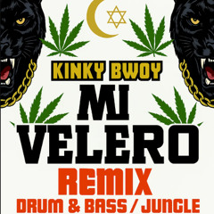 Mi Velero - Kinky Bwoy (LEYEC Remix)