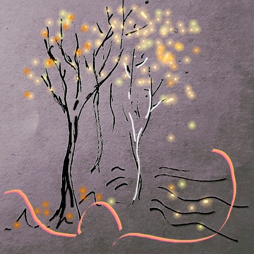 la luce della sera - with Francesco Cartocci