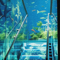 ˚₊‧꒰ა ☁︎ ໒꒱ ‧₊˚ WAX & ACID ˚₊‧꒰ა ☁︎ ໒꒱ ‧₊˚ prod. Ghowste